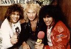 DAVID LEE ROTH